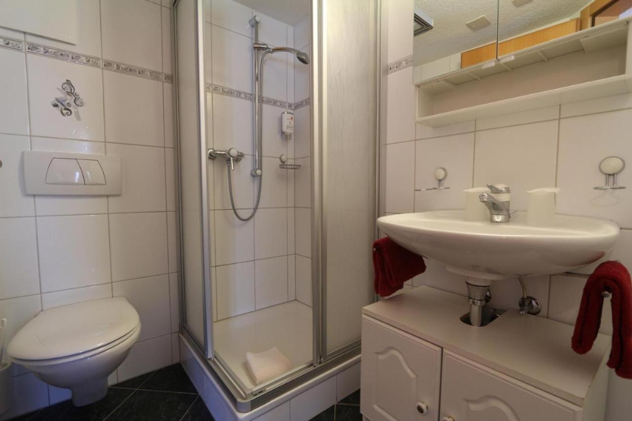 Hotel Alpina Grächen Kültér fotó