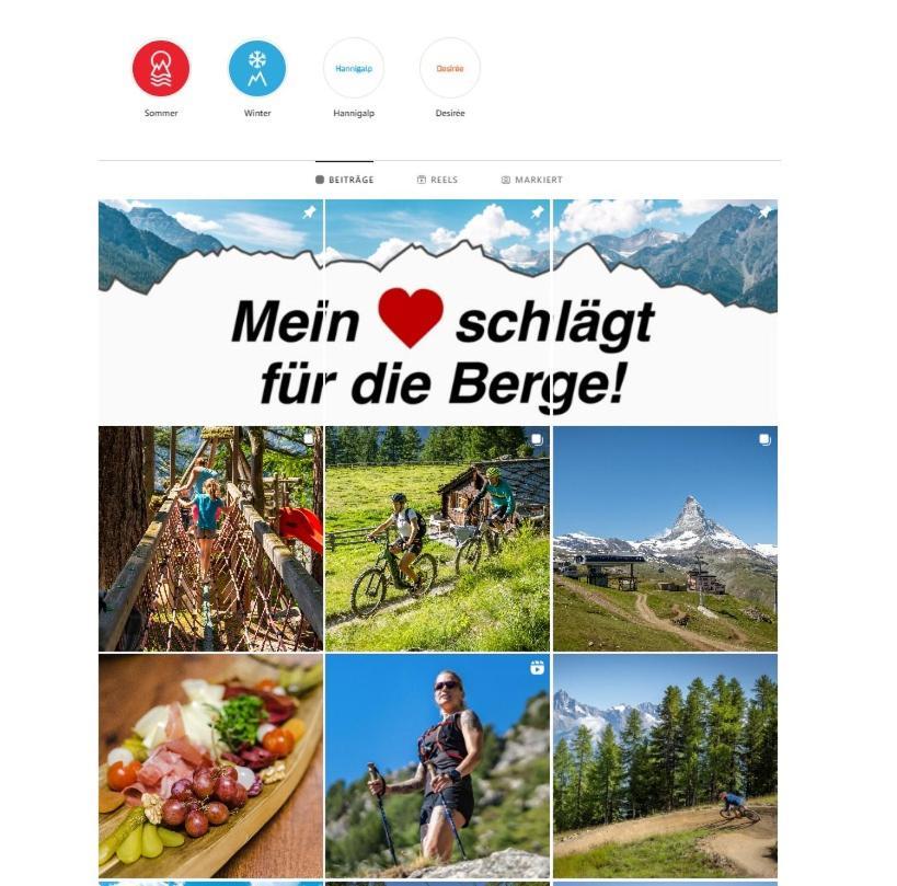 Hotel Alpina Grächen Kültér fotó