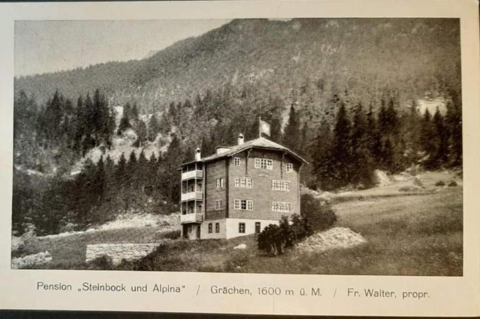 Hotel Alpina Grächen Kültér fotó