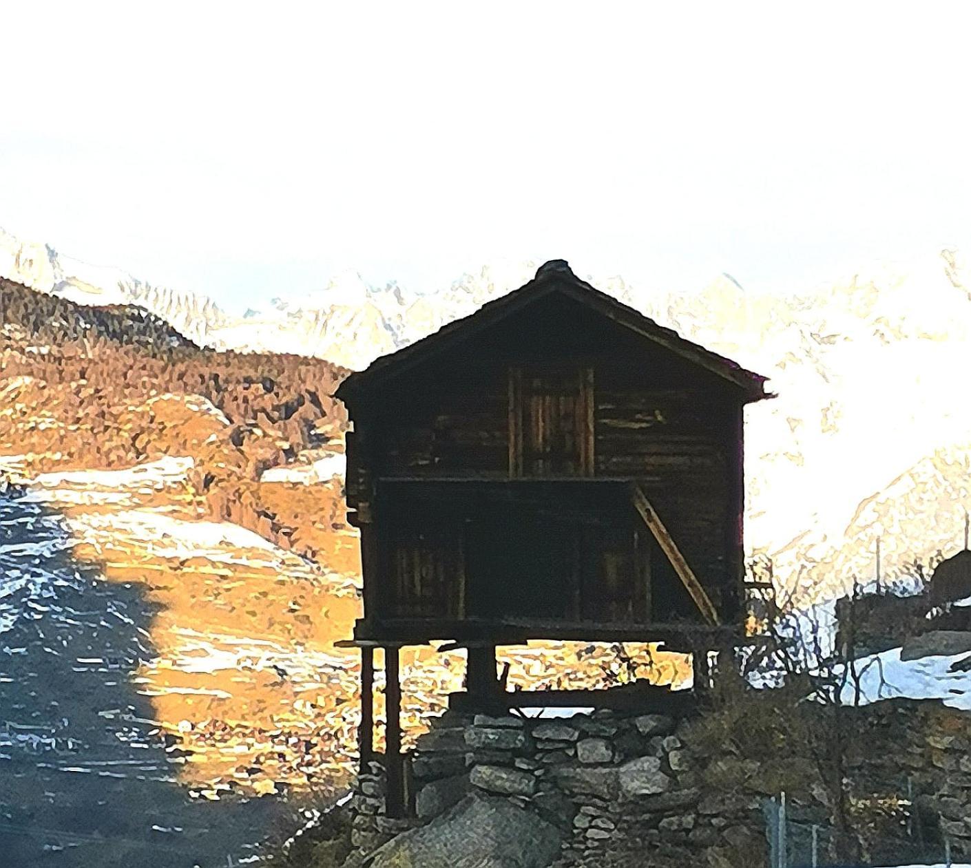 Hotel Alpina Grächen Kültér fotó